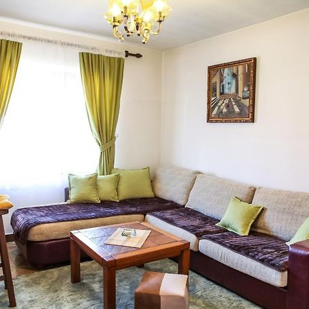 Apartment Dejan Cetynia Zewnętrze zdjęcie