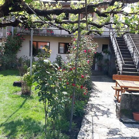Apartment Dejan Cetynia Zewnętrze zdjęcie
