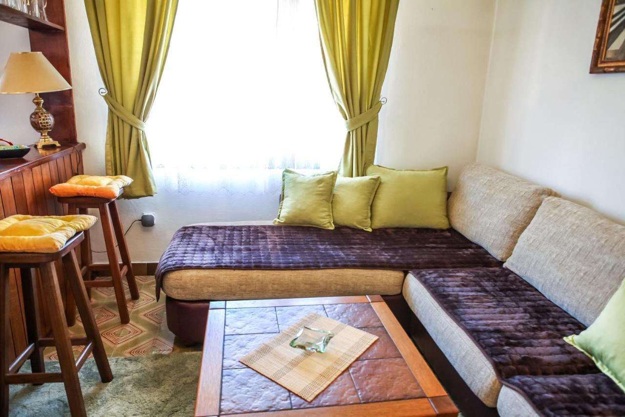 Apartment Dejan Cetynia Zewnętrze zdjęcie