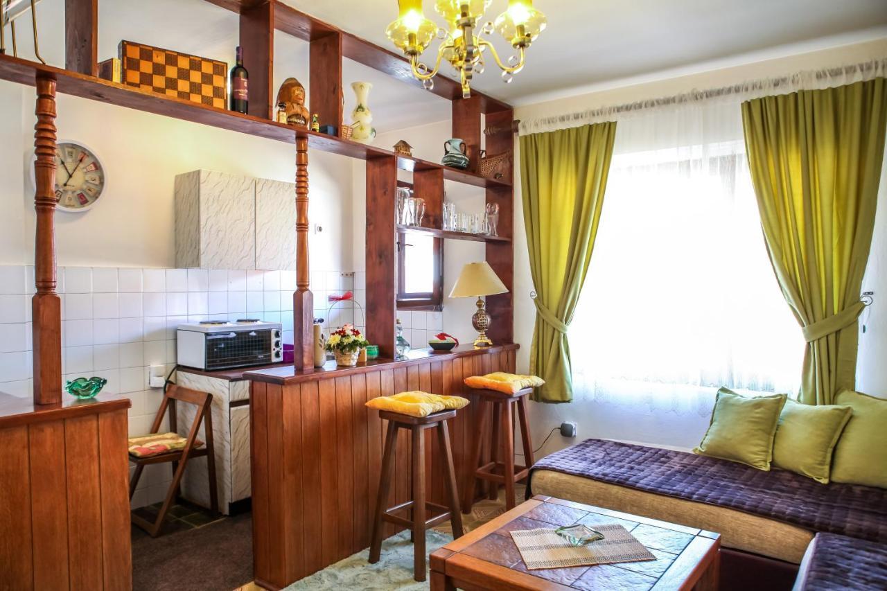 Apartment Dejan Cetynia Zewnętrze zdjęcie