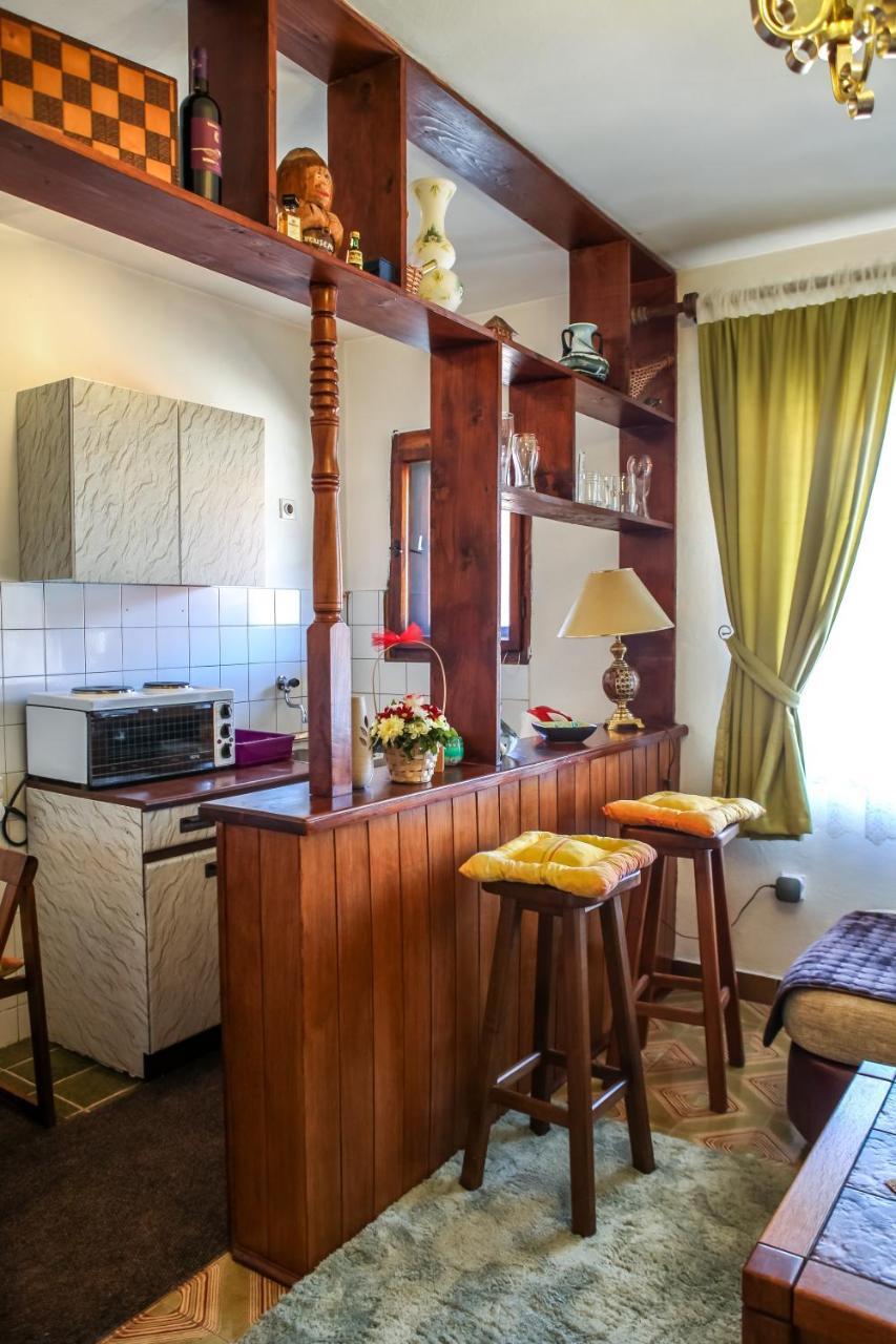 Apartment Dejan Cetynia Zewnętrze zdjęcie