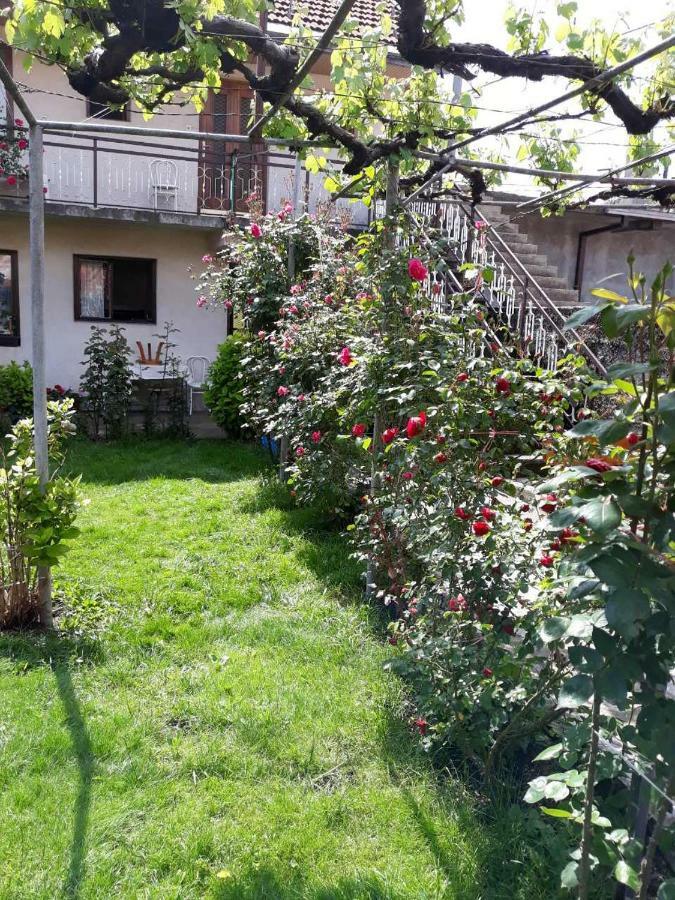 Apartment Dejan Cetynia Zewnętrze zdjęcie