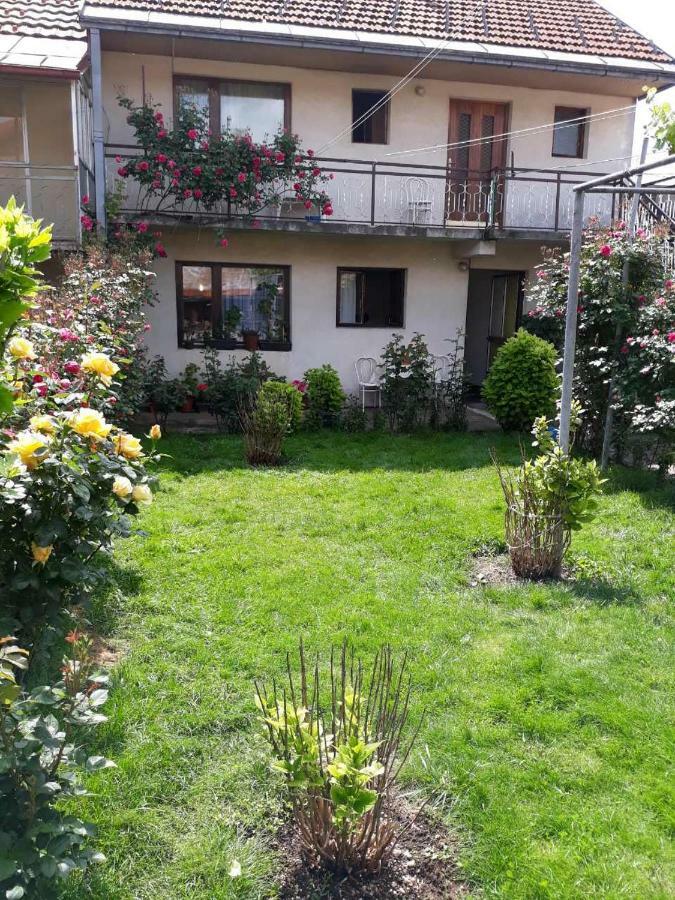 Apartment Dejan Cetynia Zewnętrze zdjęcie