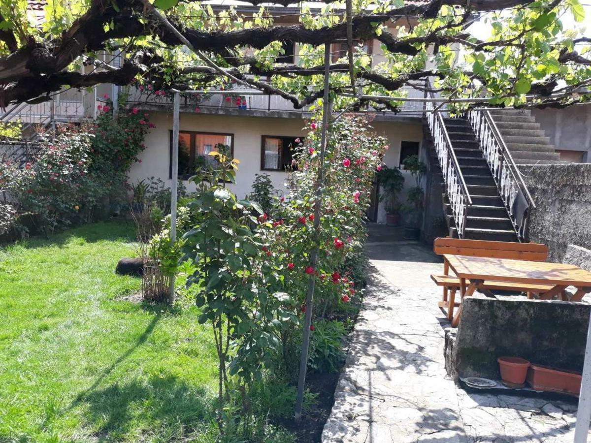 Apartment Dejan Cetynia Zewnętrze zdjęcie